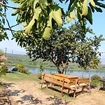 Campo de lujo Glamping Kulmi Shkodër