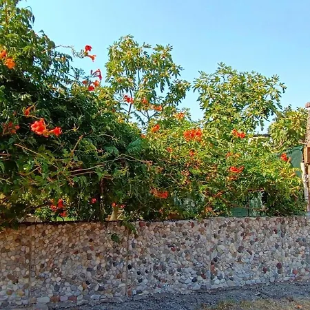 Glamping Kulmi Роскошный шатер *