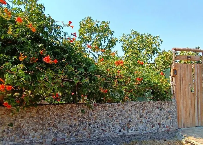 Glamping Kulmi 럭셔리텐트 *