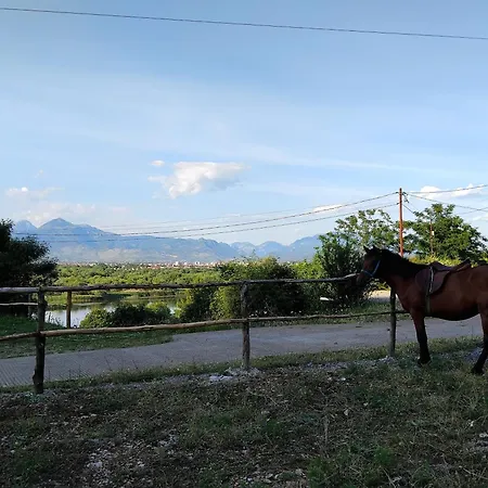Glamping Kulmi Shkodër