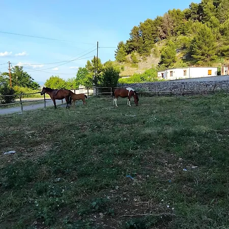 Glamping Kulmi * Shkodër